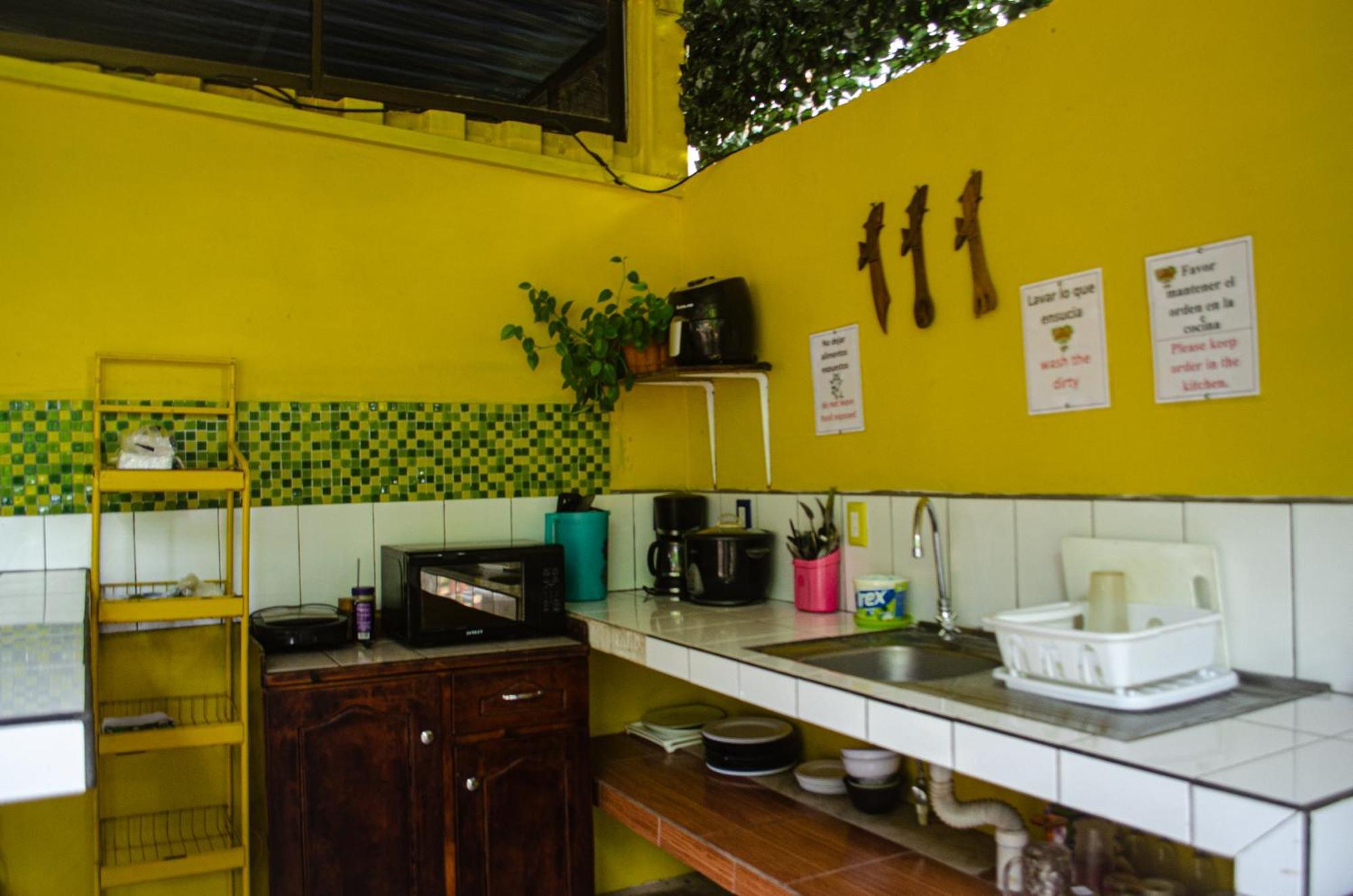 The Jungle Container Bed and Breakfast Quepos Exterior foto