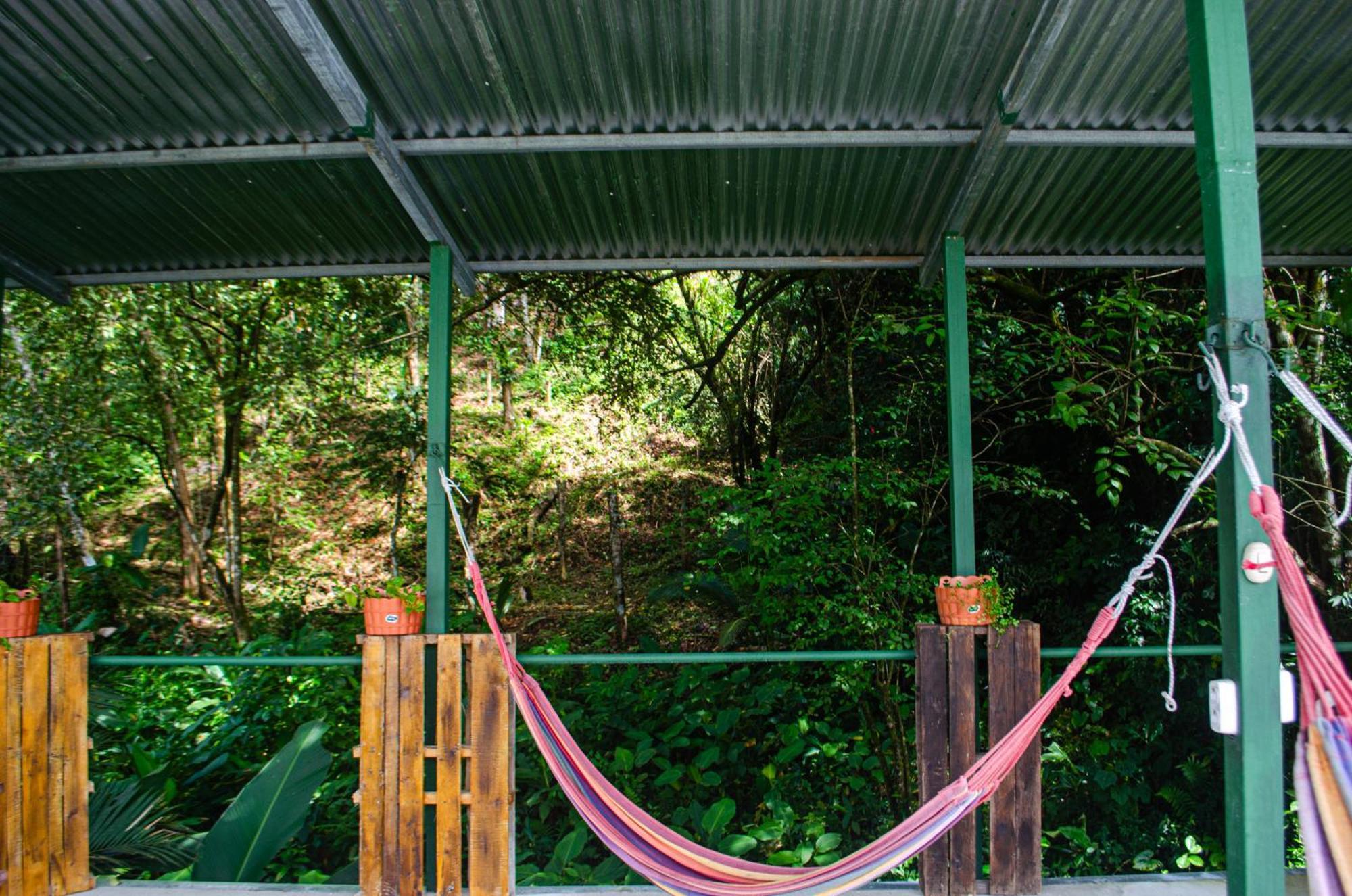 The Jungle Container Bed and Breakfast Quepos Exterior foto