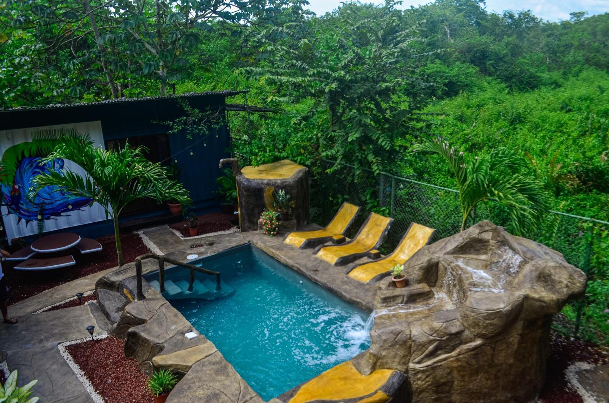 The Jungle Container Bed and Breakfast Quepos Exterior foto